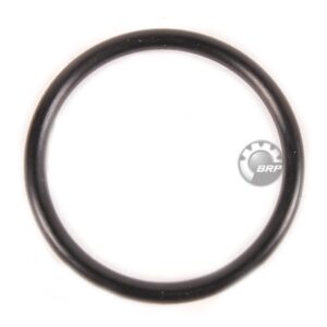O-RING tappo Termostato 0301917