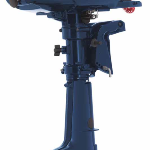 Evinrude Portatile 4hp (4 Tempi)